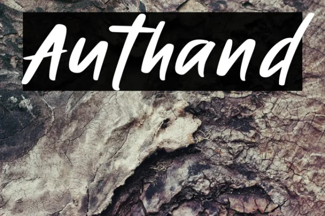Authand Example 1