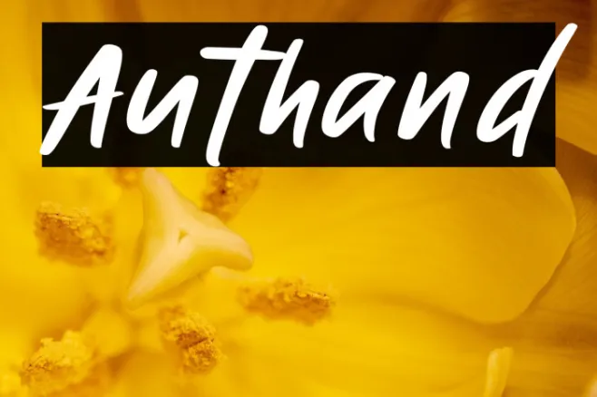 Authand Example 3
