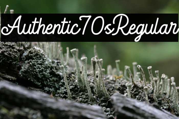 Authentic 70's Regular Example 2