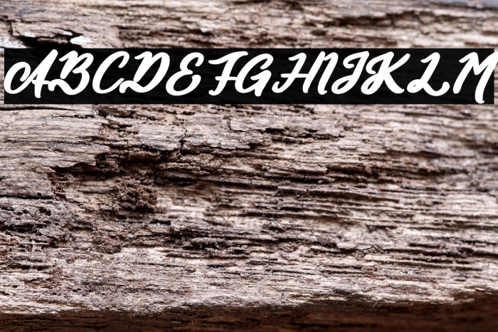 Authentic Calisttera Example 2