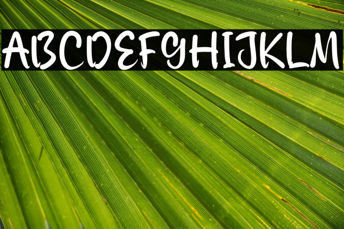 Authentic Claisha Example 1