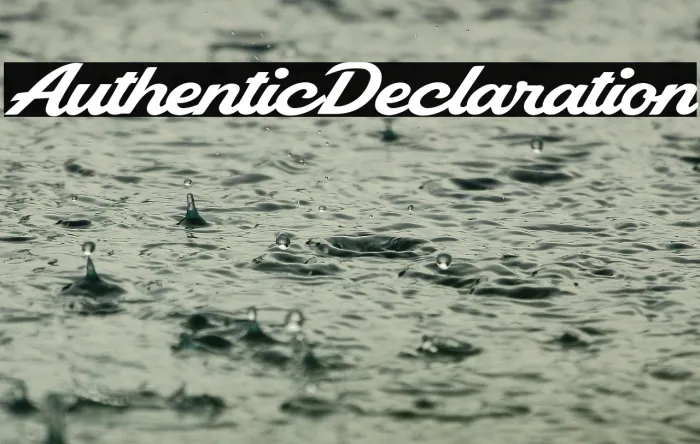 Authentic Declaration Example 1