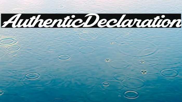 Authentic Declaration Example 2