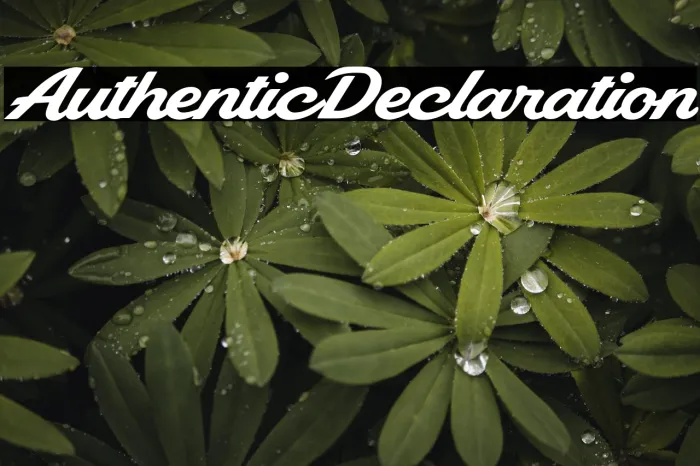 Authentic Declaration Example 3