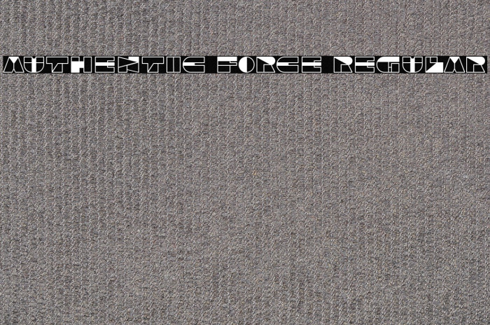 Authentic Force Regular Example 2