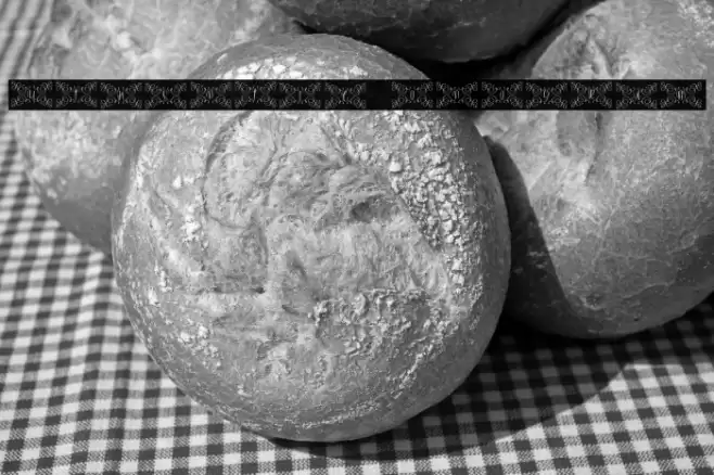 Authentic Monogram Font examples