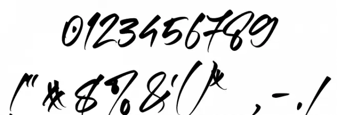 Authentic Photograph Font OTHER CHARS