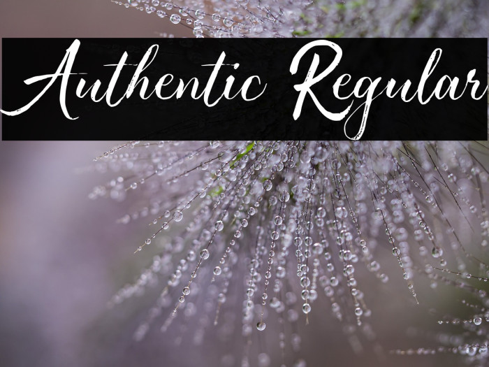 Authentic Regular Example 1