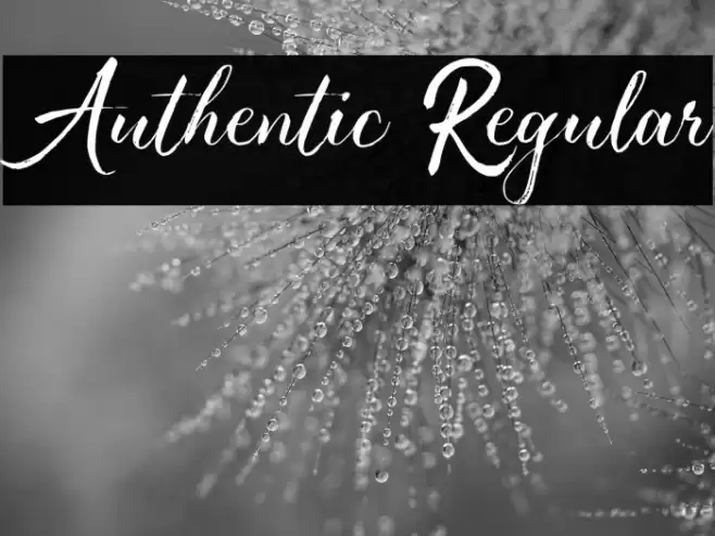 Authentic Regular Font examples