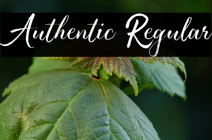 Authentic Regular Example 3