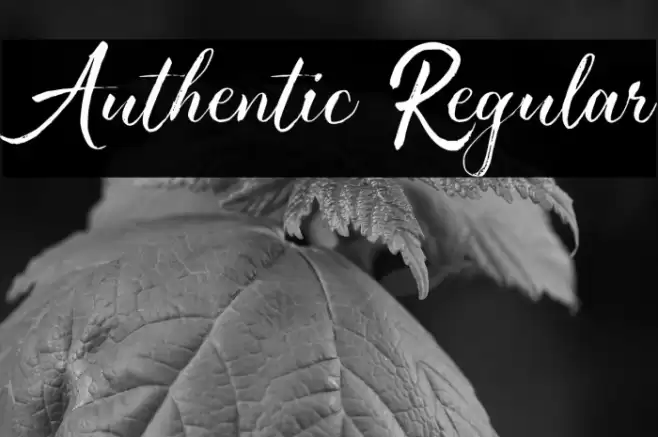 Authentic Regular Font examples