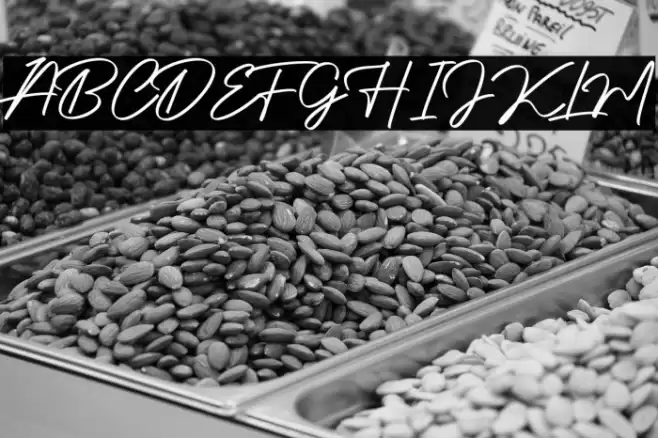 Authentic Signature Font examples