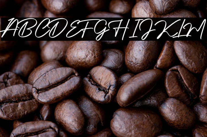 Authentic Signature Example 2