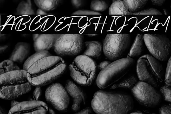 Authentic Signature Font examples