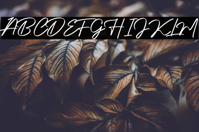 Authentic Signature Example 3