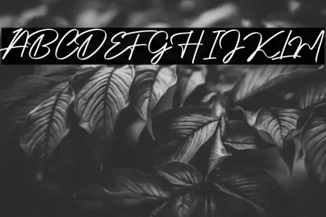 Authentic Signature Font examples