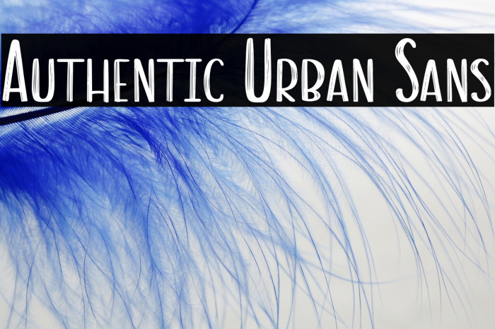 Authentic Urban Sans Example 2