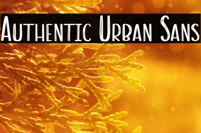Authentic Urban Sans Example 3