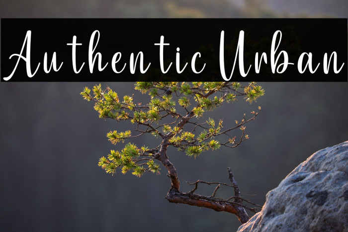 Authentic Urban Example 1