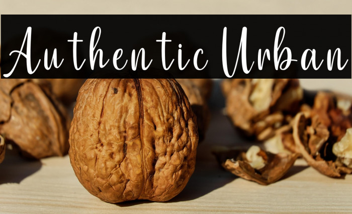 Authentic Urban Example 2