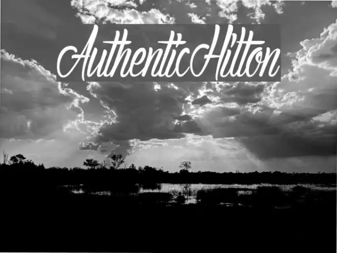 AuthenticHilton Font examples