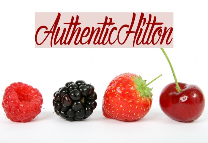 AuthenticHilton Font examples