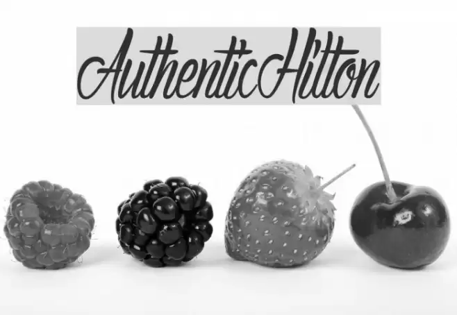 AuthenticHilton Font examples