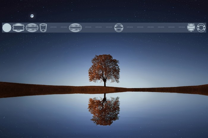 AuthenticLabelsDemo Example 1