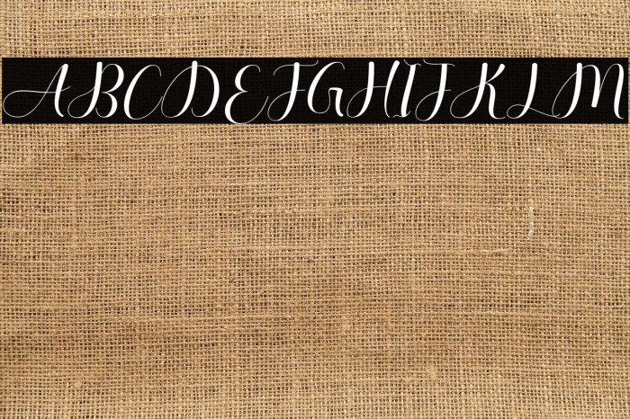 AuthenticSheldon Example 3