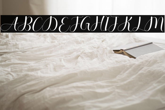 AuthenticSheldon Example 2