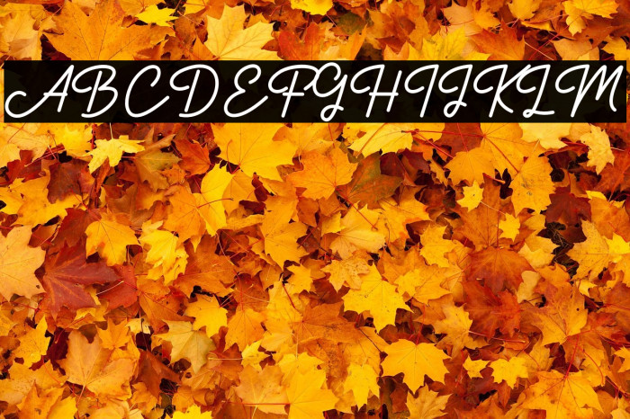 Authentica Example 2