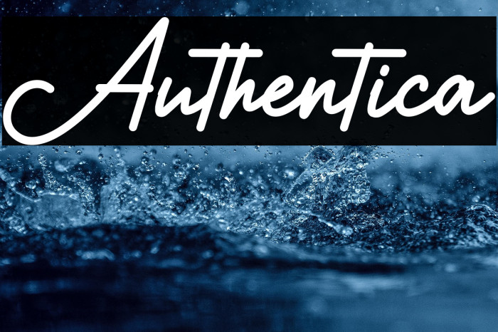 Authentica Example 1