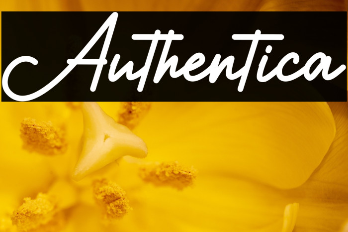 Authentica Example 2