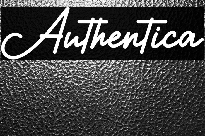 Authentica Example 3