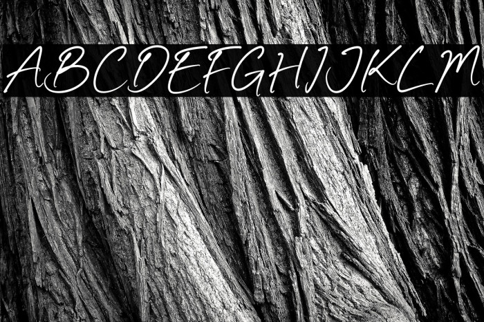 Authentty Wegnotta Example 1