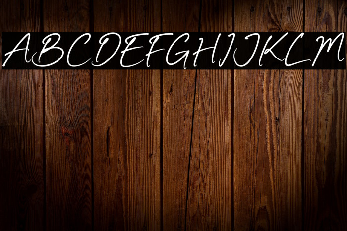 Authentty Wegnotta Example 3