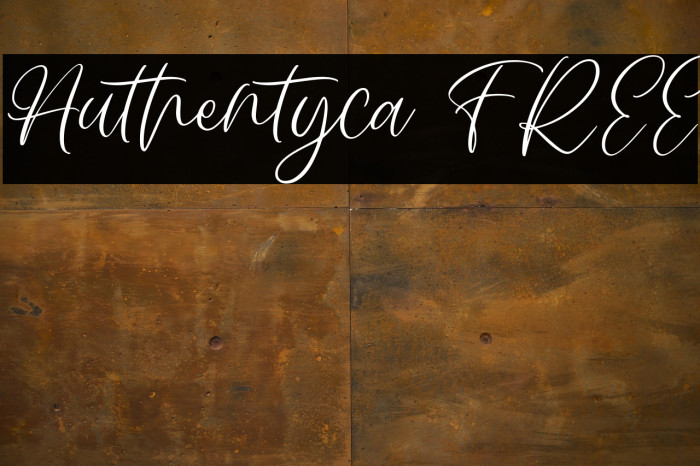 Authentyca FREE Example 1