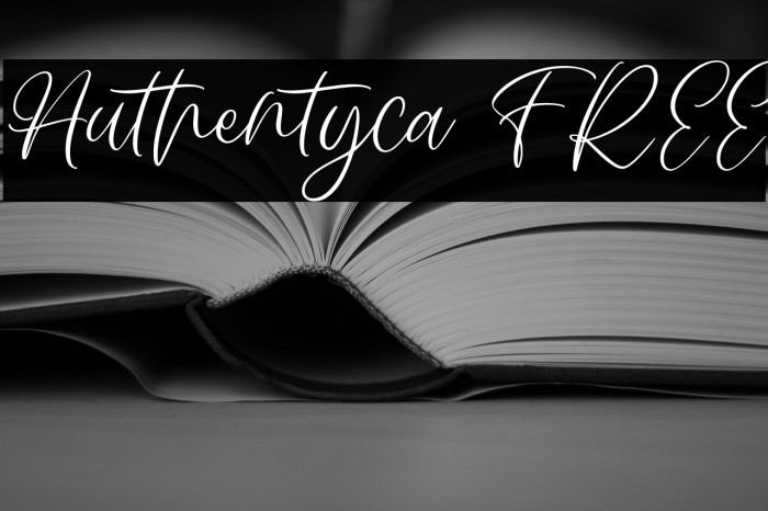 Authentyca FREE Example 2