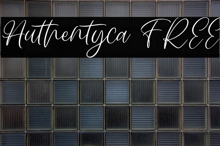 Authentyca FREE Example 3