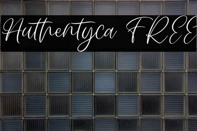 Authentyca FREE Example 3
