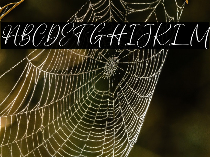 AuthentycaFREE Example 1