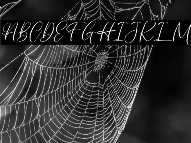 AuthentycaFREE Font examples