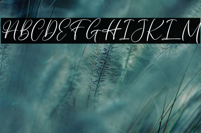 AuthentycaFREE Example 2