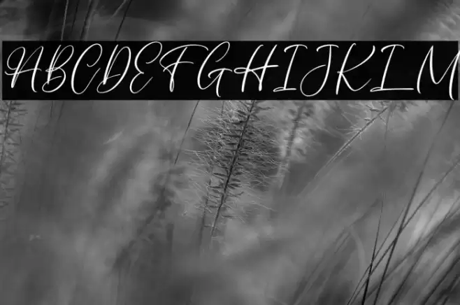 AuthentycaFREE Font examples