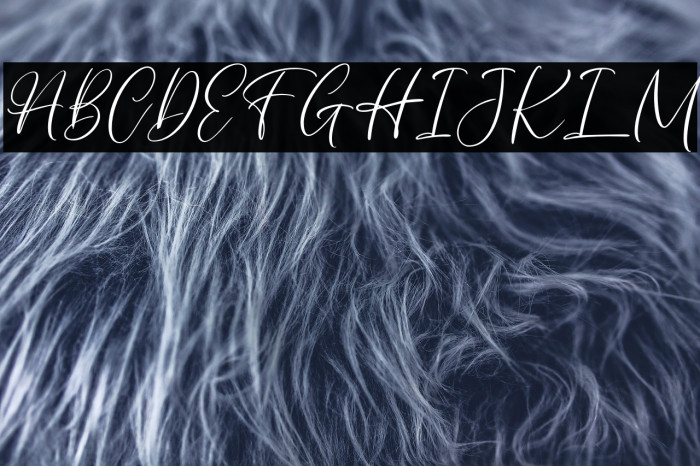 AuthentycaFREE Example 3