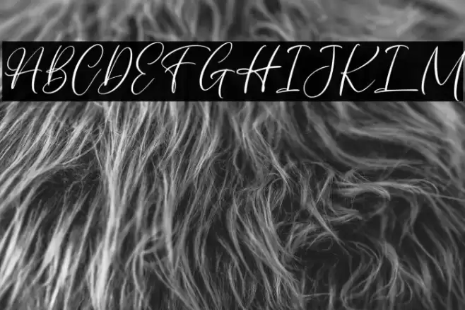 AuthentycaFREE Font examples