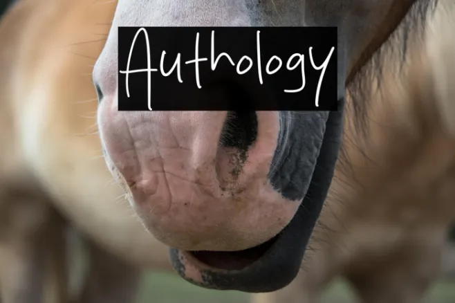 Authology Example 3