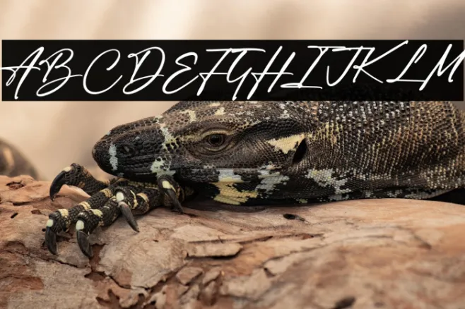 Author Think Example 2