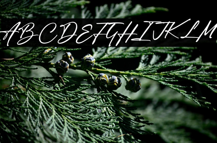 Author Think Example 1