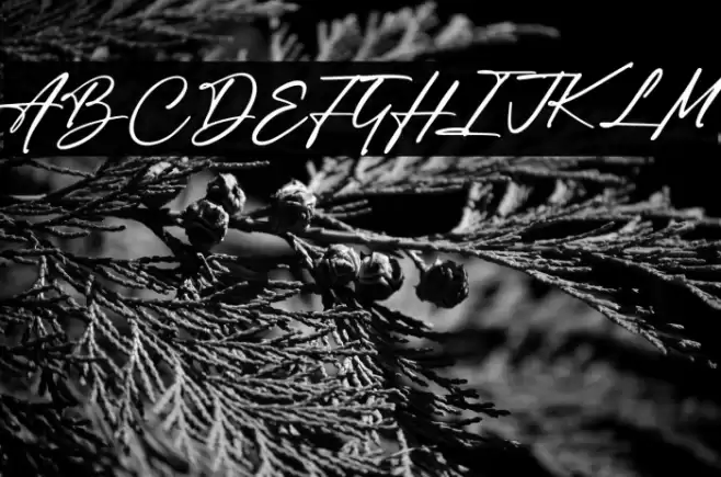 Author Think Font examples